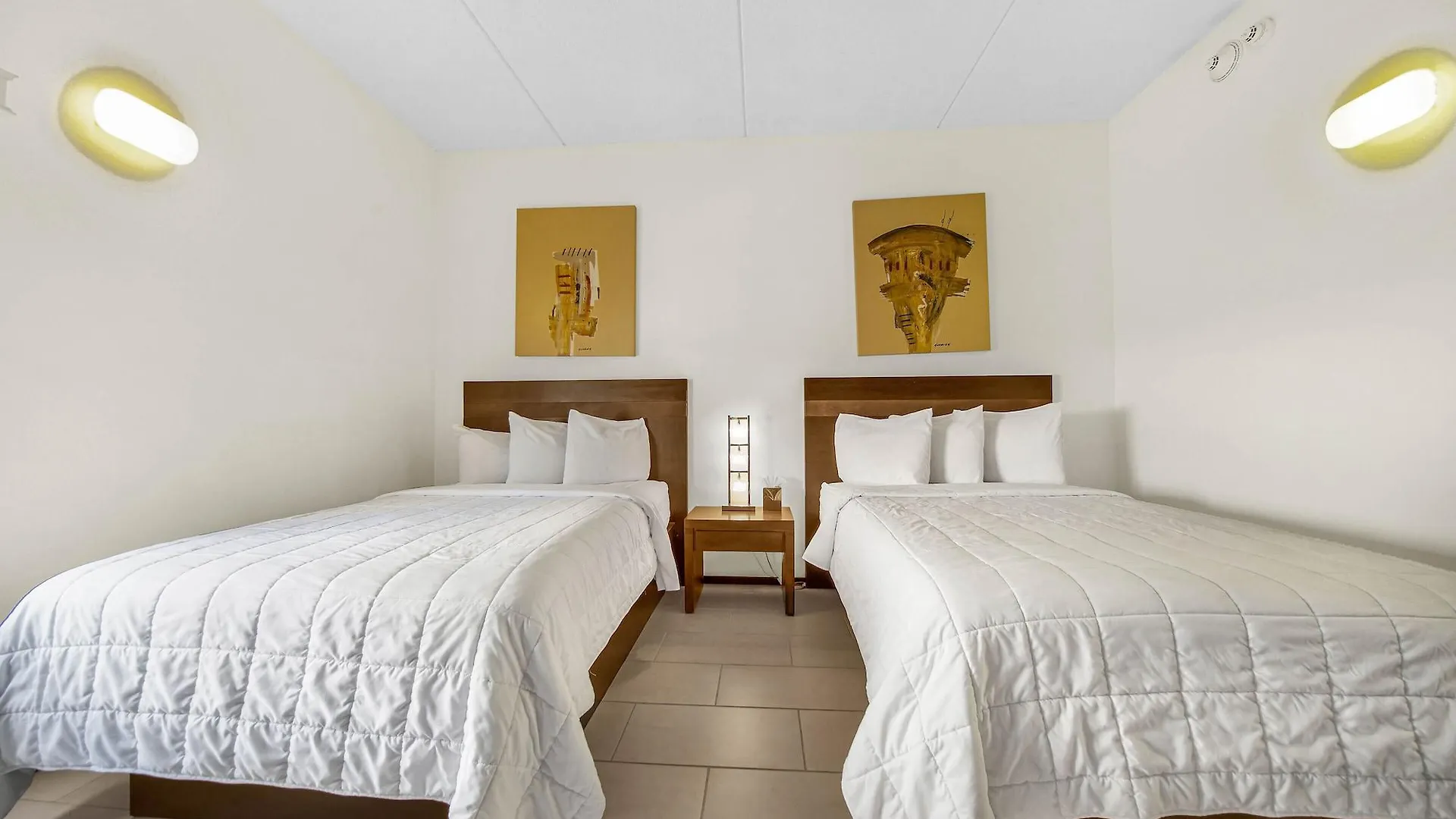 Peninsula Island & - Beachfront At 4* South Padre Island