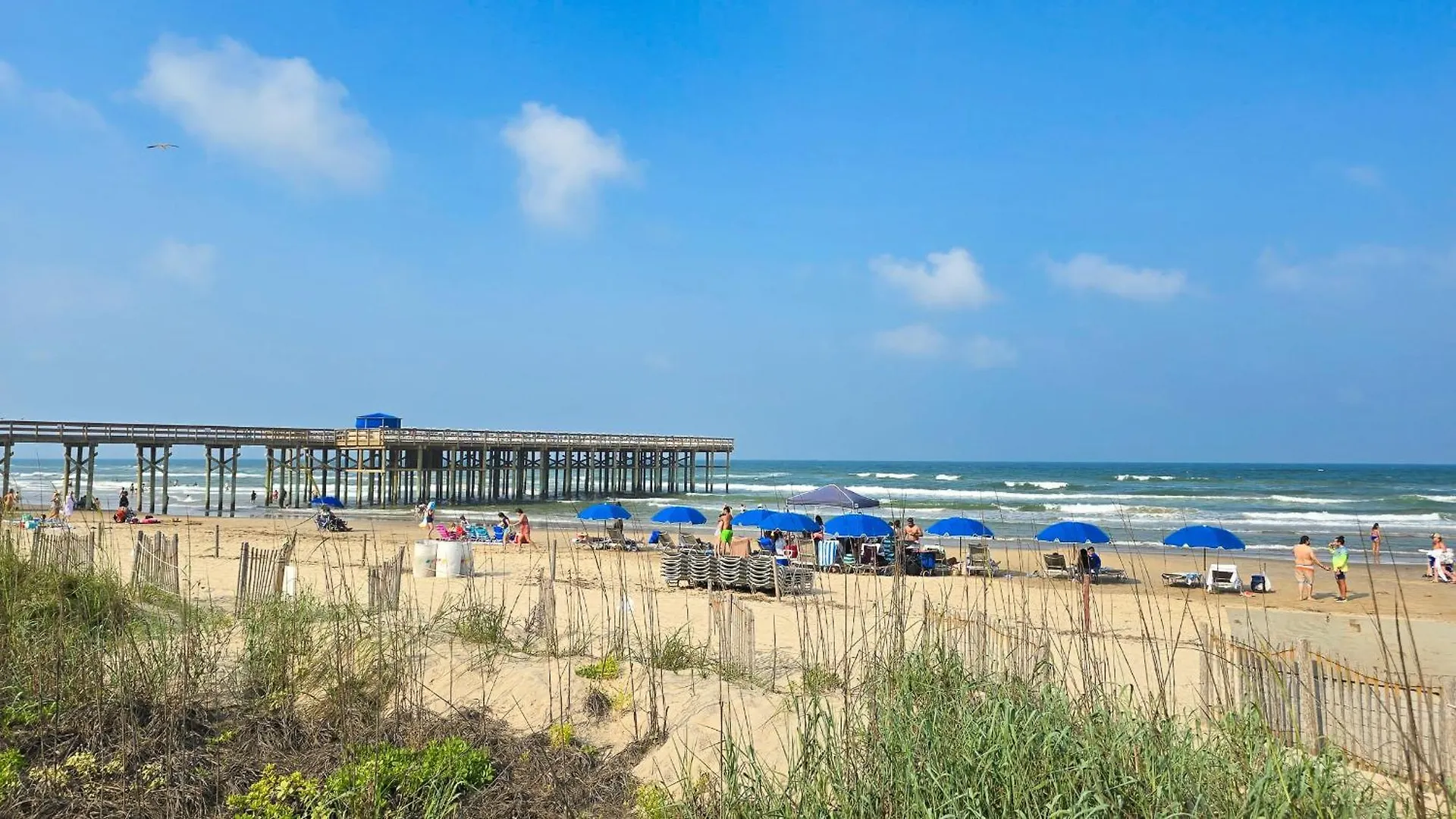 Apartment Spoonbills Sanctuary Coastal Chic 1br Retreat 329 *