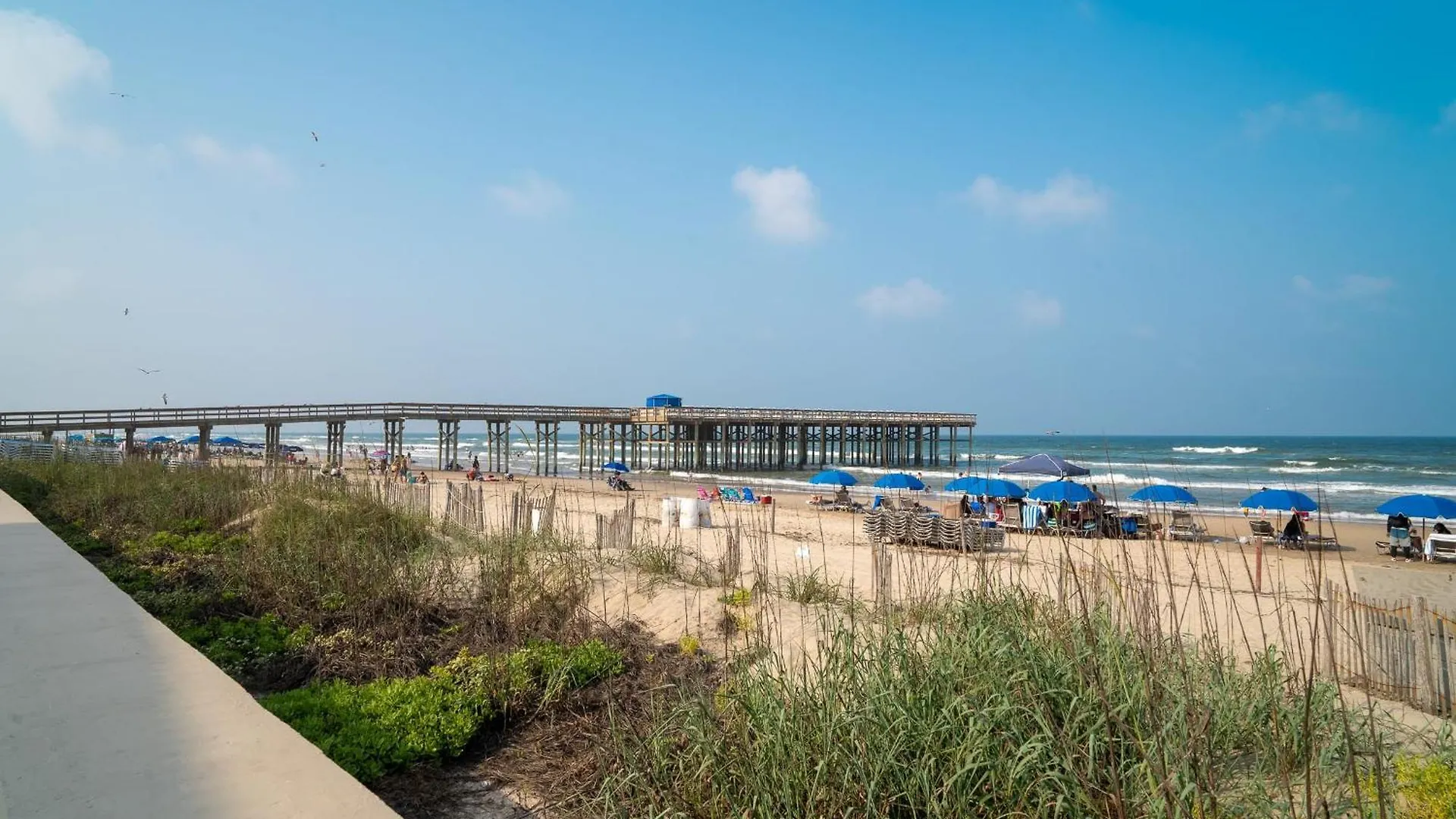 Apartment Spoonbills Sanctuary Coastal Chic 1br Retreat 329 *
