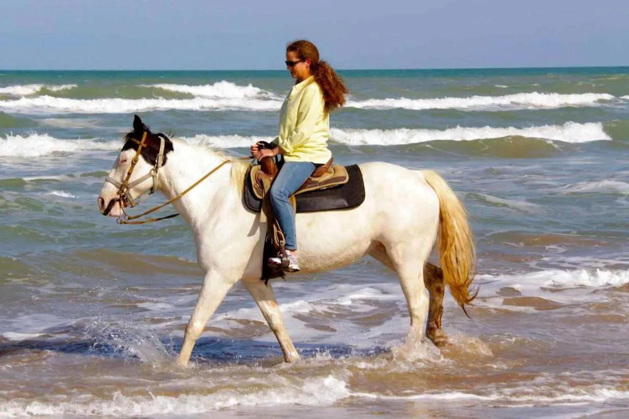 Good Hope Townhouse 5306 Tatil Evi