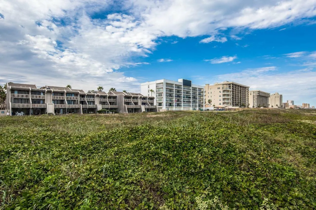 Palm Tree Escape Appartement South Padre Island