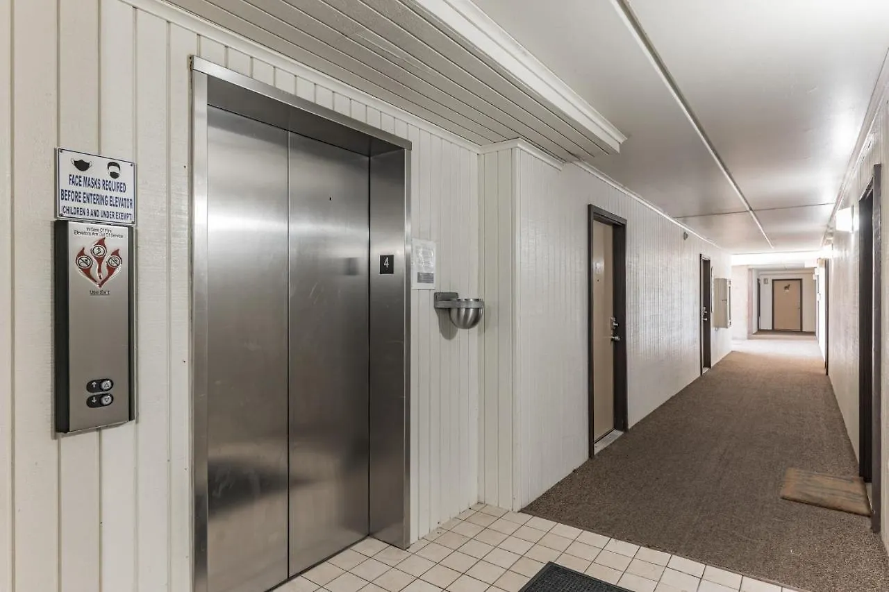 Charming 1 Bedroom, 3 Minute Walk To The South Padre Island