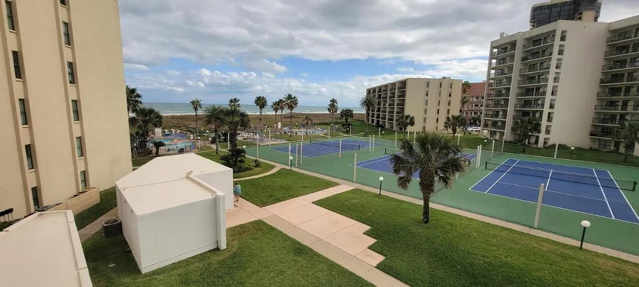 Apartment Beachfront With Heated Pool Saida Royale 9039 South Padre Island