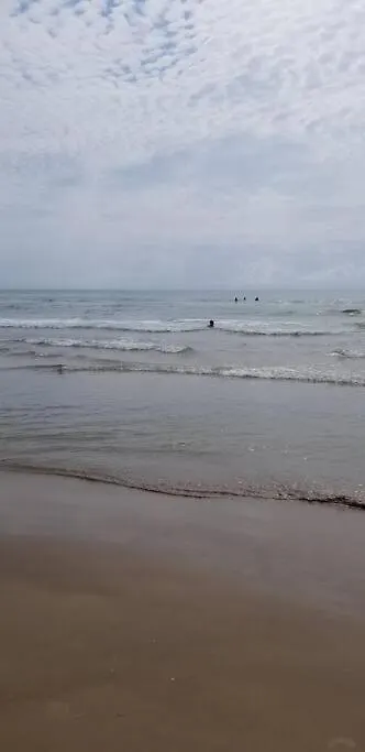 2 Bed 1 Bath By & Entertainment South Padre Island
