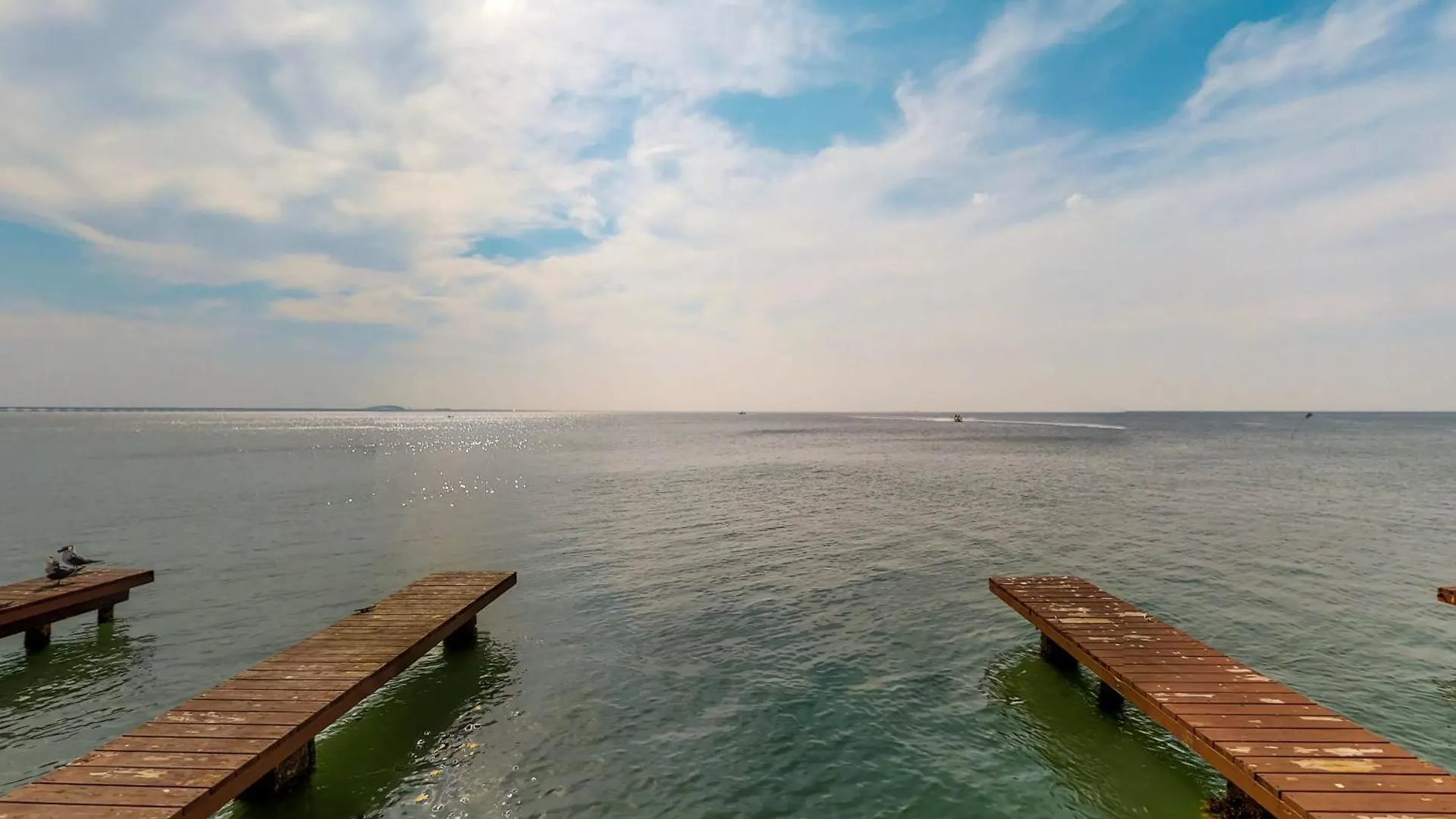 Marlin Arms South Padre Island