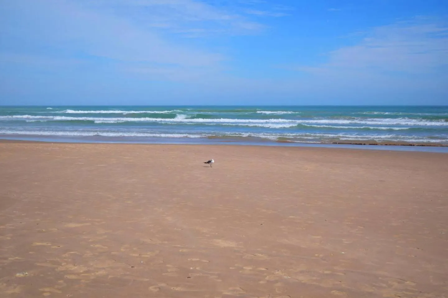 Holiday home Erics Spot Make It Yours *