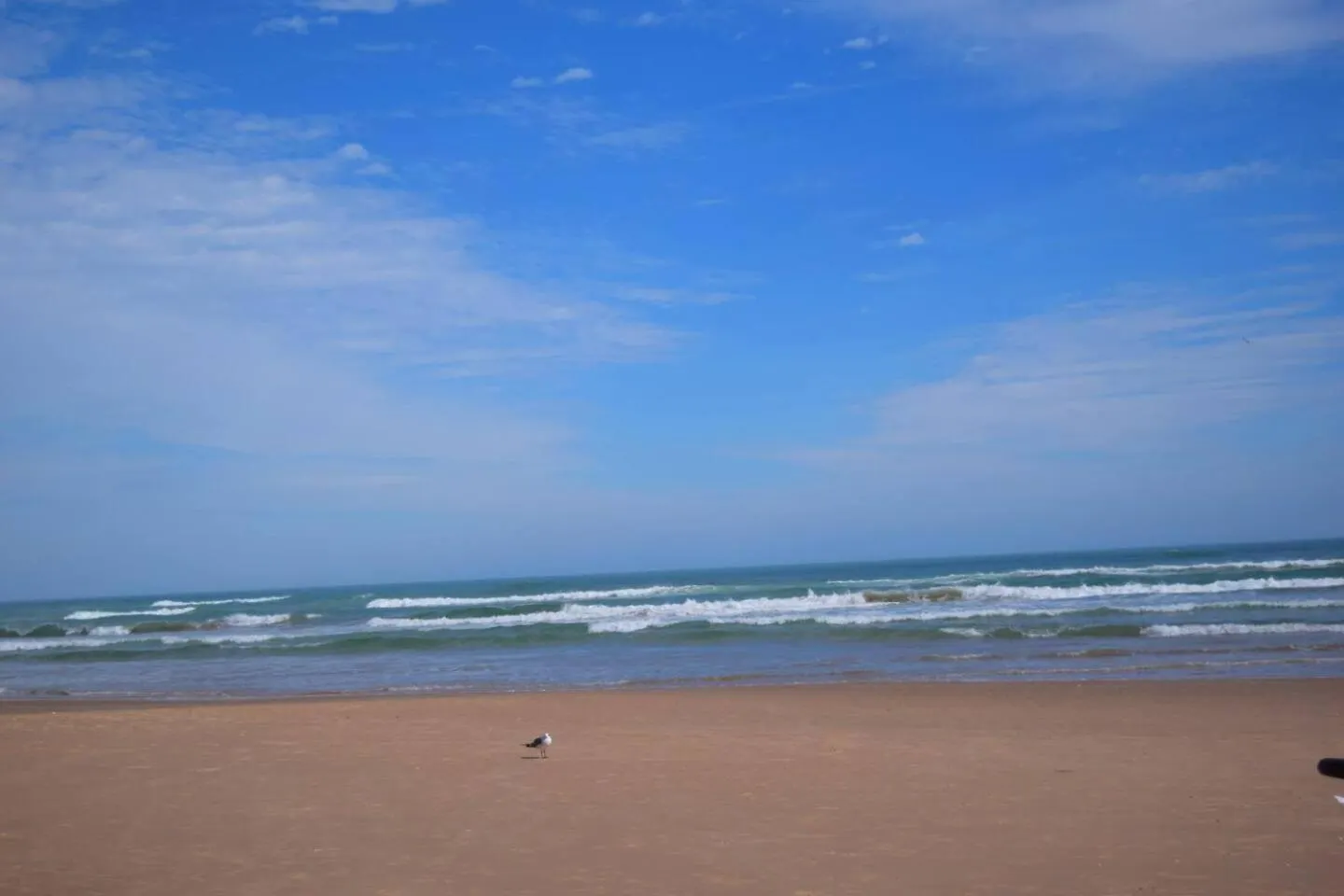 Erics Spot Make It Yours Holiday home South Padre Island