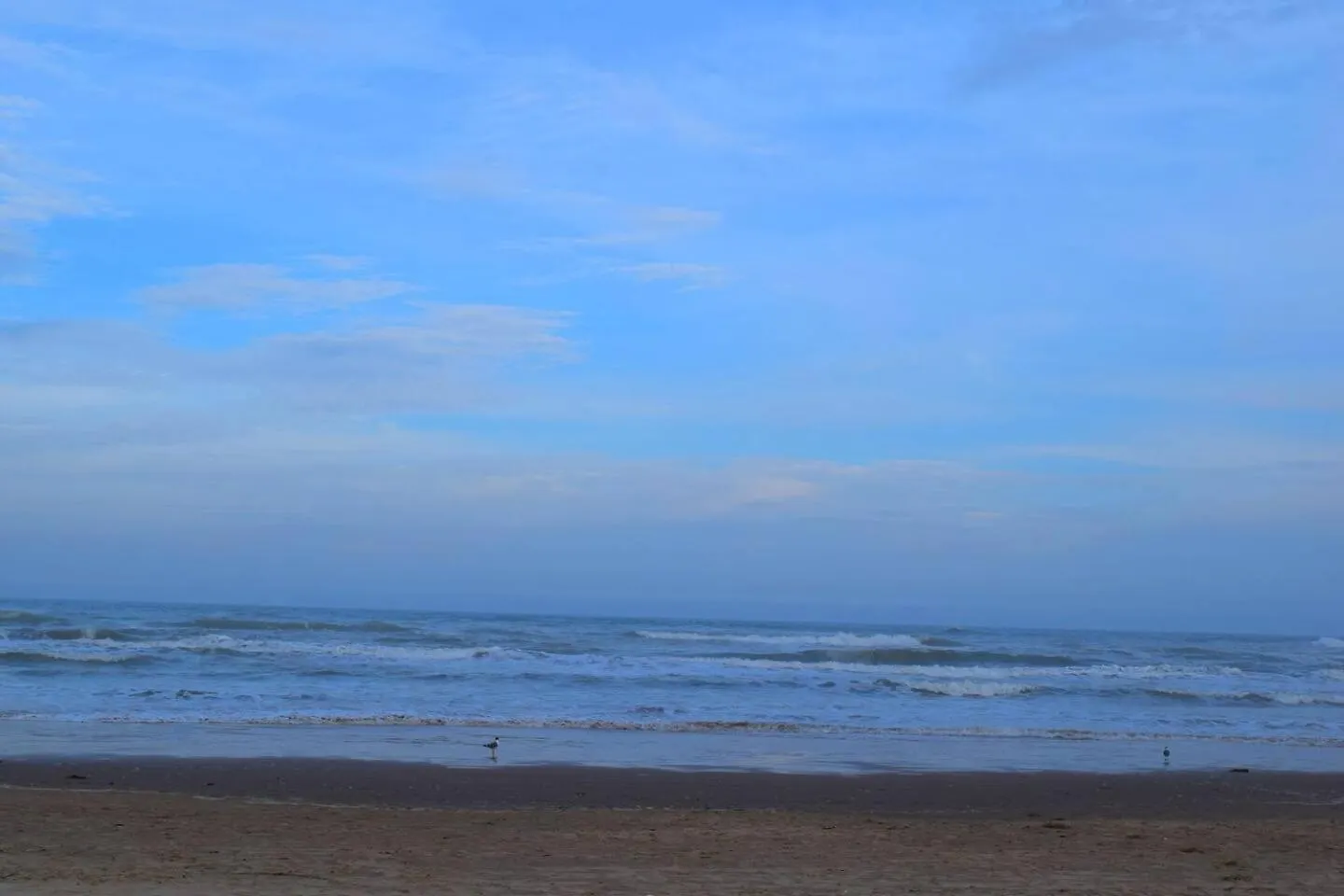 Erics Spot Make It Yours South Padre Island