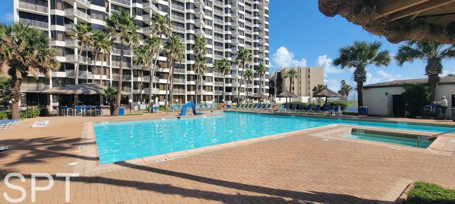 Saida Towers Iii- 3101