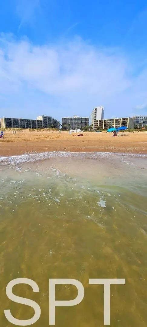 Apartment Saida Towers Iii- 3101