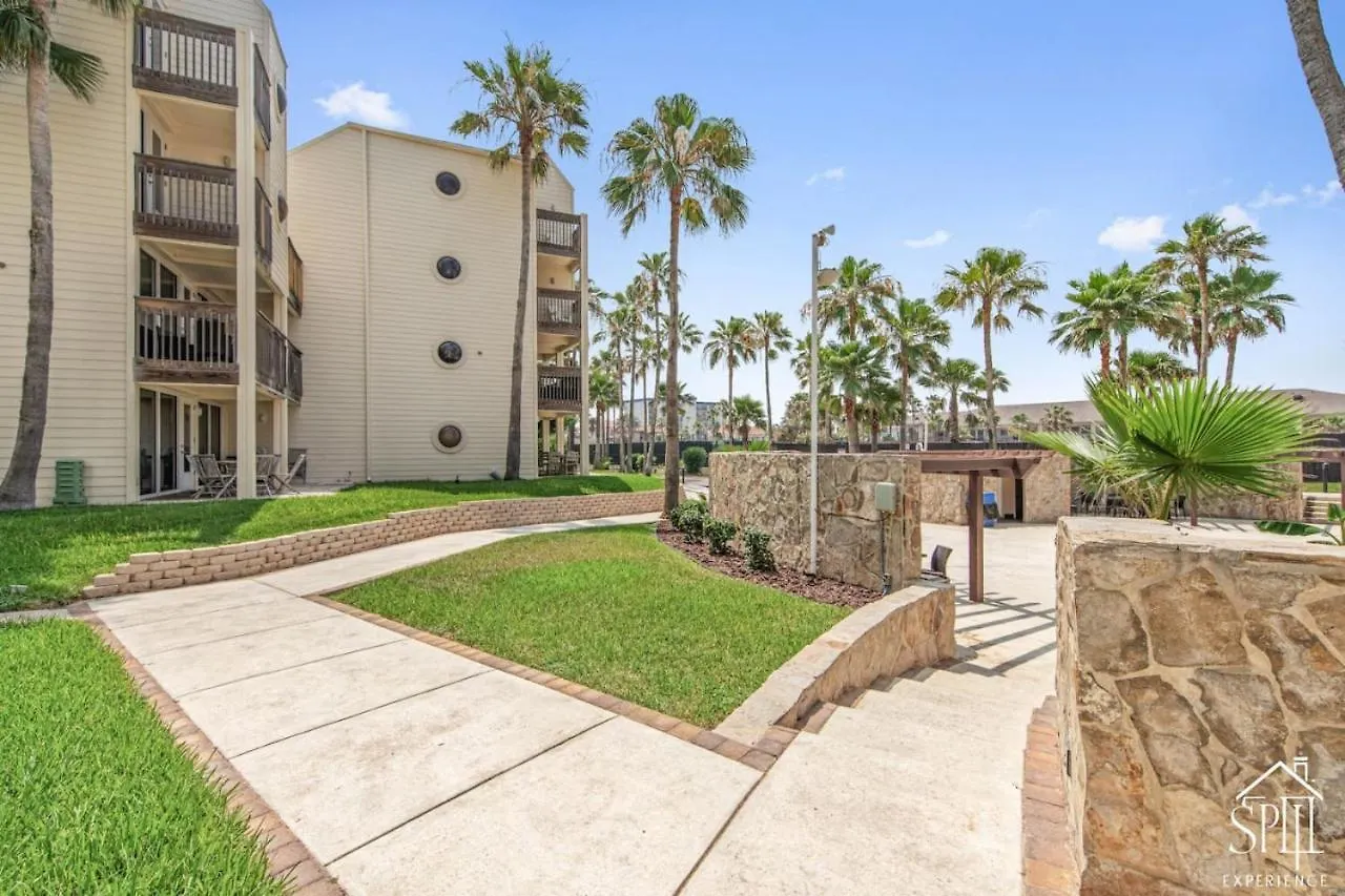Amazing Panoramic Ocean Paradise Apartment South Padre Island