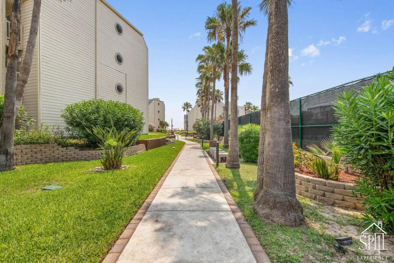 Amazing Panoramic Ocean Paradise Apartment South Padre Island