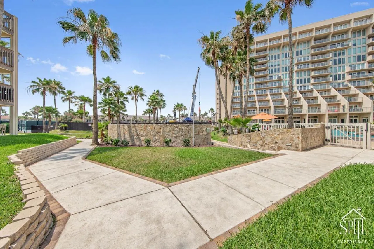 Amazing Panoramic Ocean Paradise Apartment South Padre Island