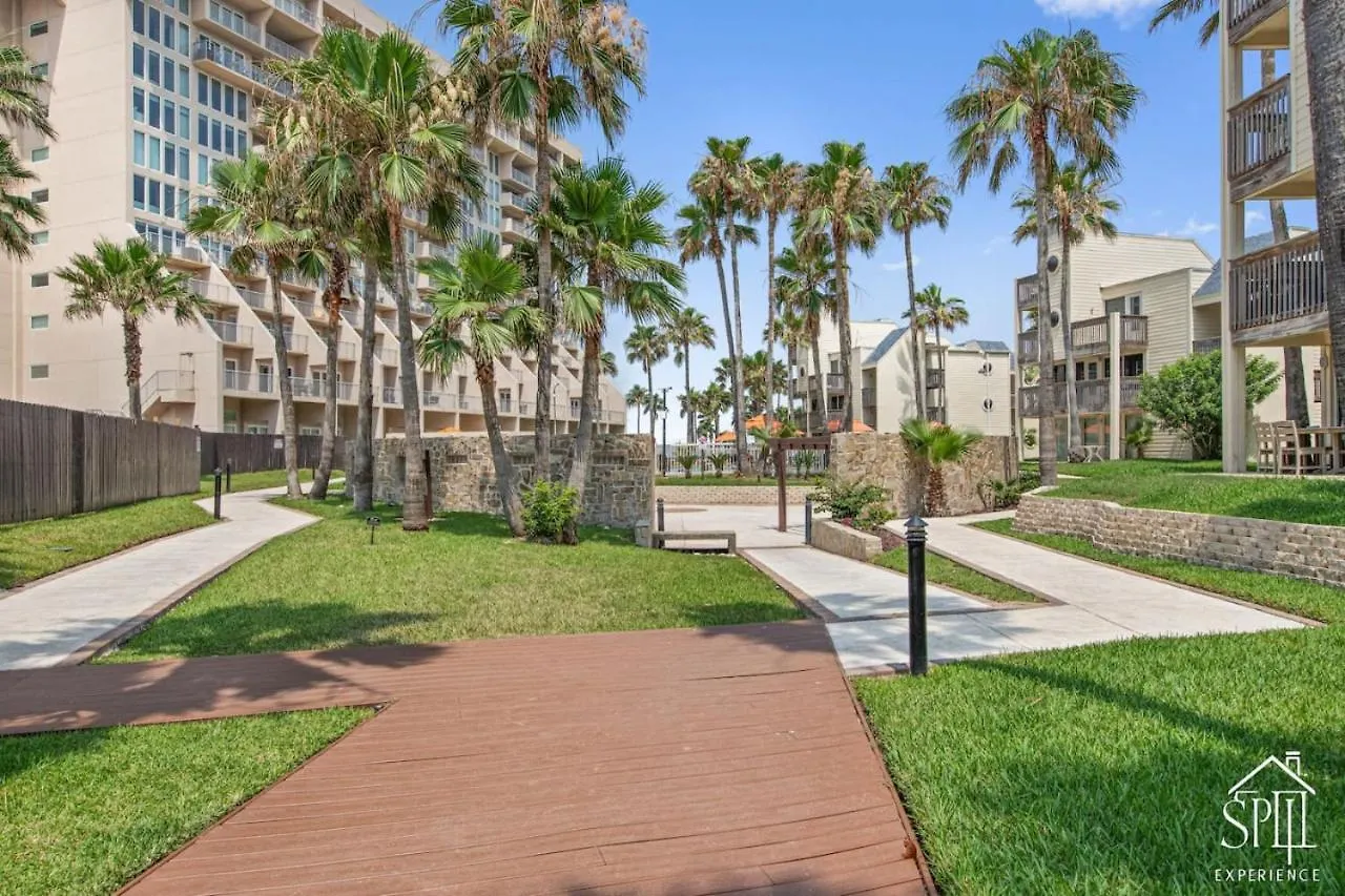 Amazing Panoramic Ocean Paradise Apartment South Padre Island