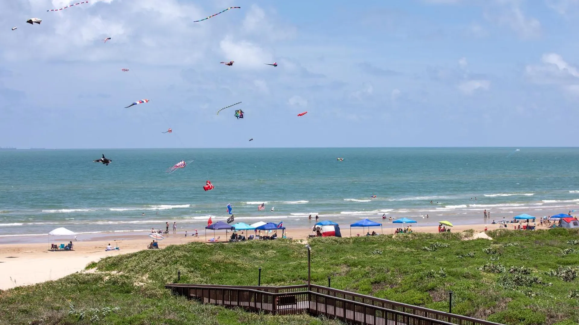 Birdies Landing At Butterfly Park Access South Padre Island