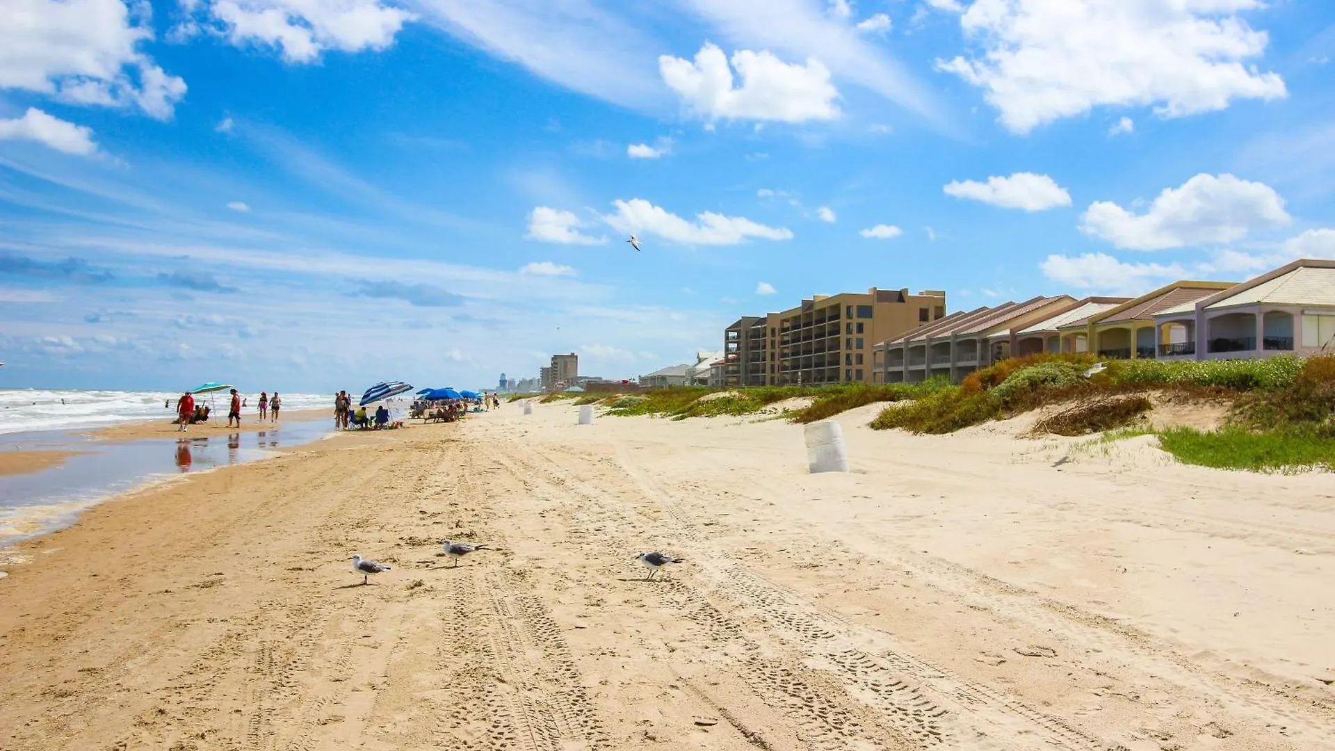 Sapphire #106 Apartment South Padre Island