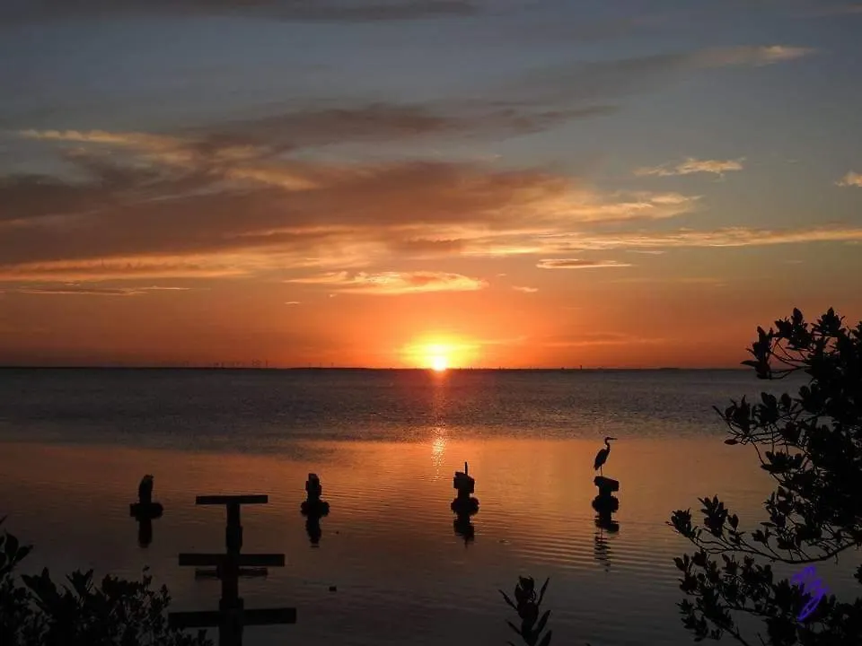 Holiday home Sun Dancer #11 South Padre Island