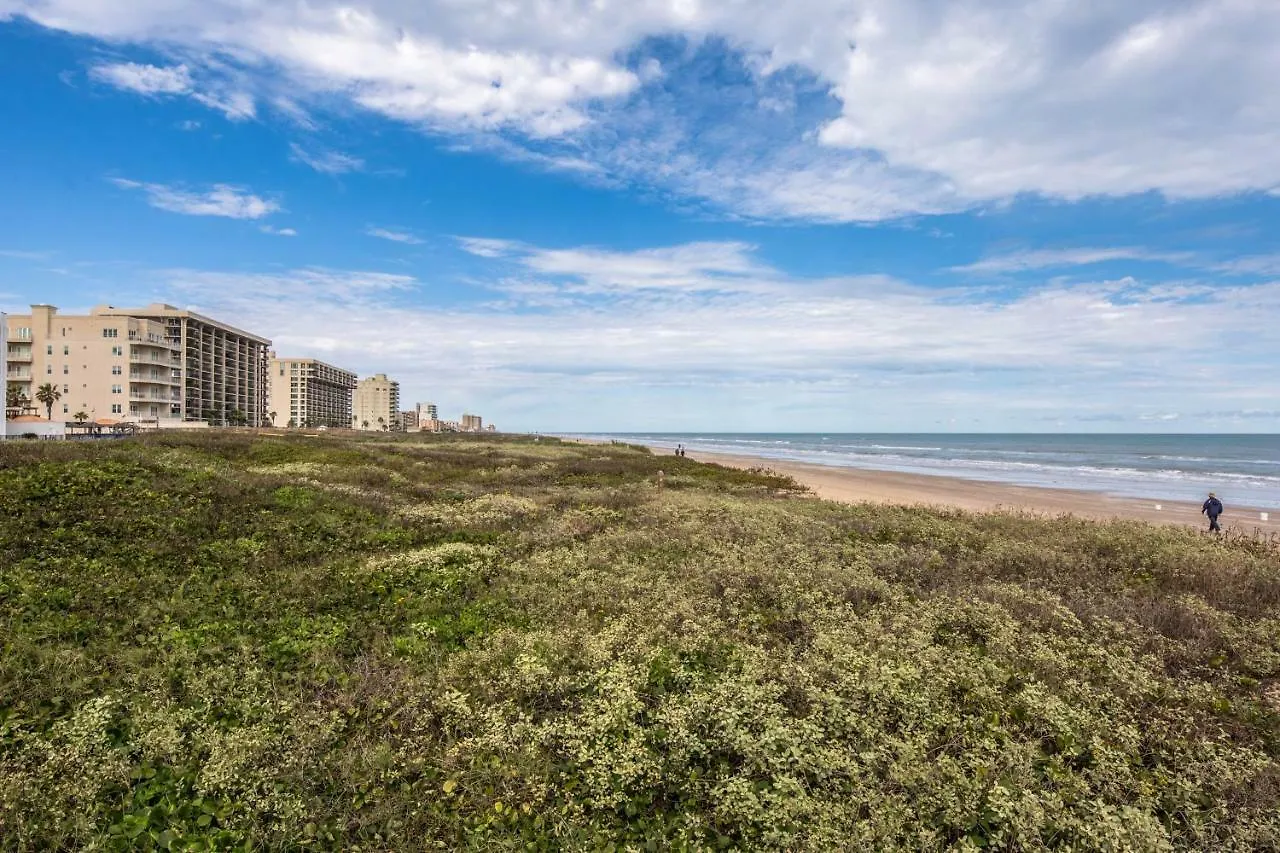 Beachview Condominiums: Palm Tree Pathway Hotel *