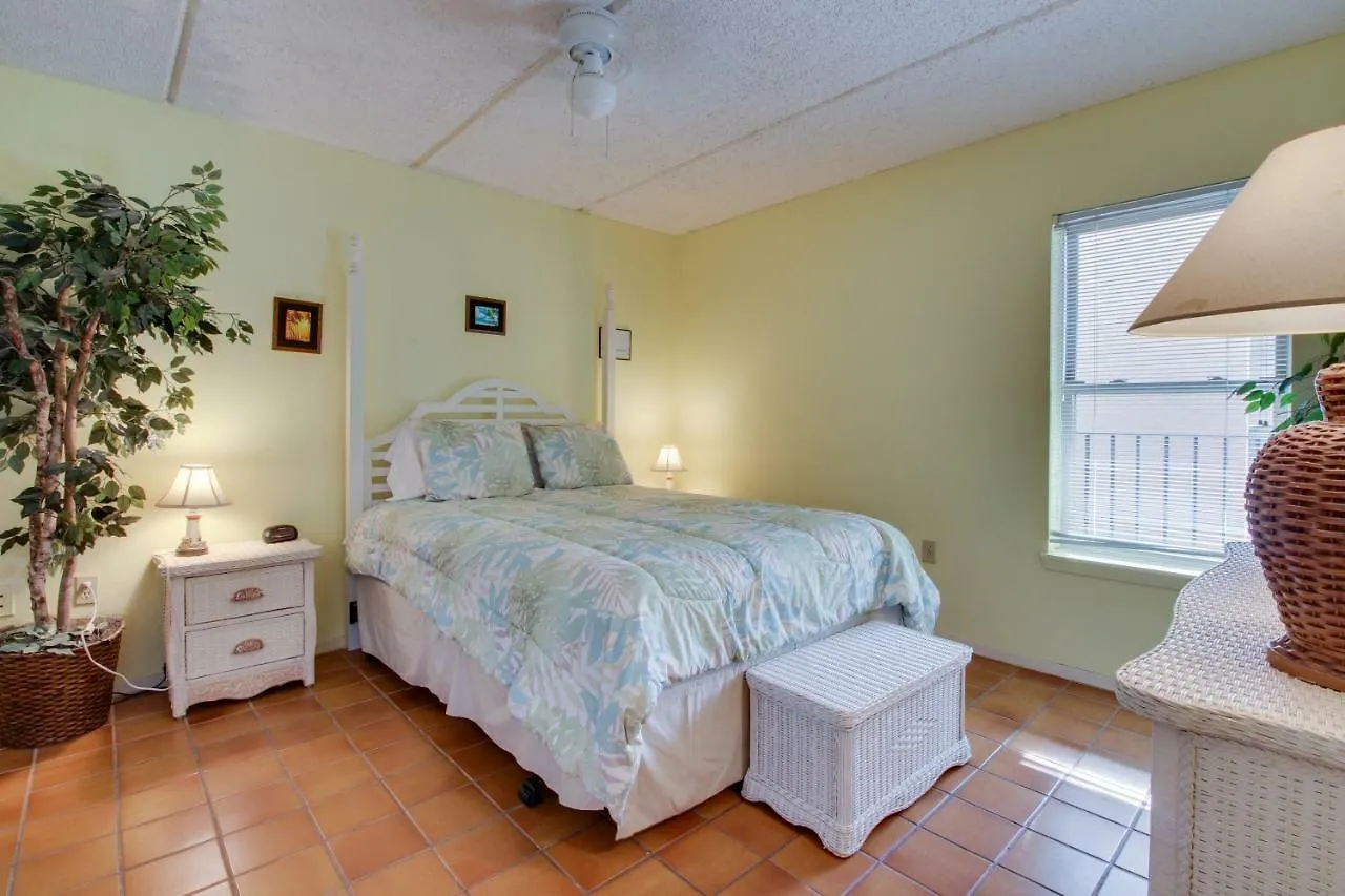 Hotel Beachview Condominiums: Palm Tree Pathway South Padre Island