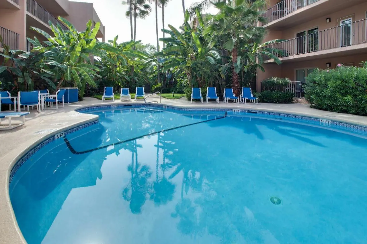 Beachview Condominiums: Palm Tree Pathway Hotel
