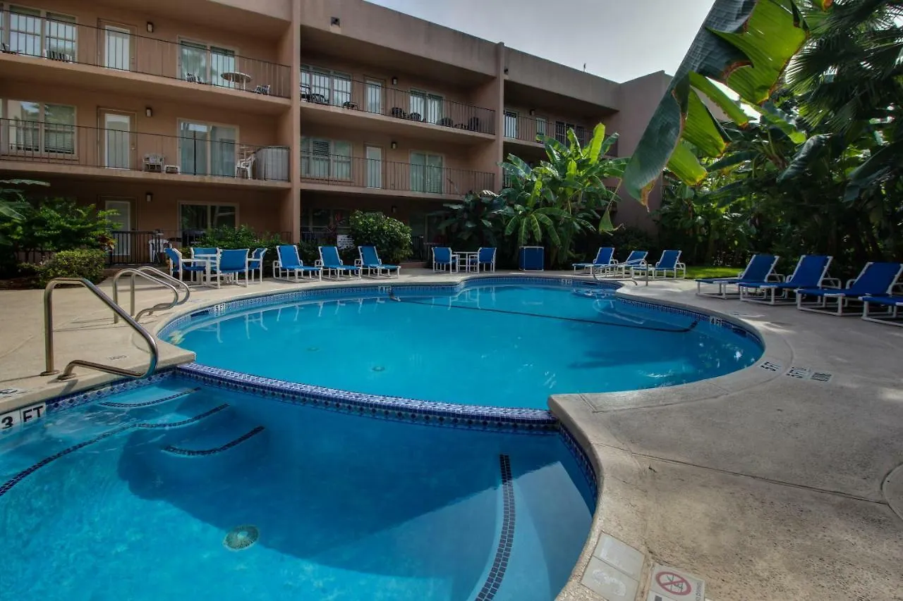 Beachview Condominiums: Palm Tree Pathway * South Padre Island