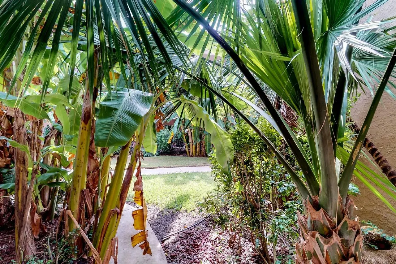 Apartment Beachview Condominiums: Wicker Wanderer