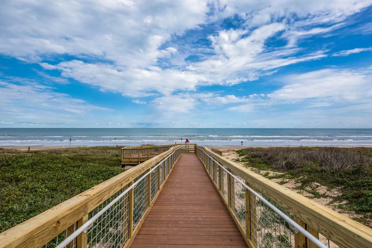 Beachview Condominiums: Palm Tree Pathway
