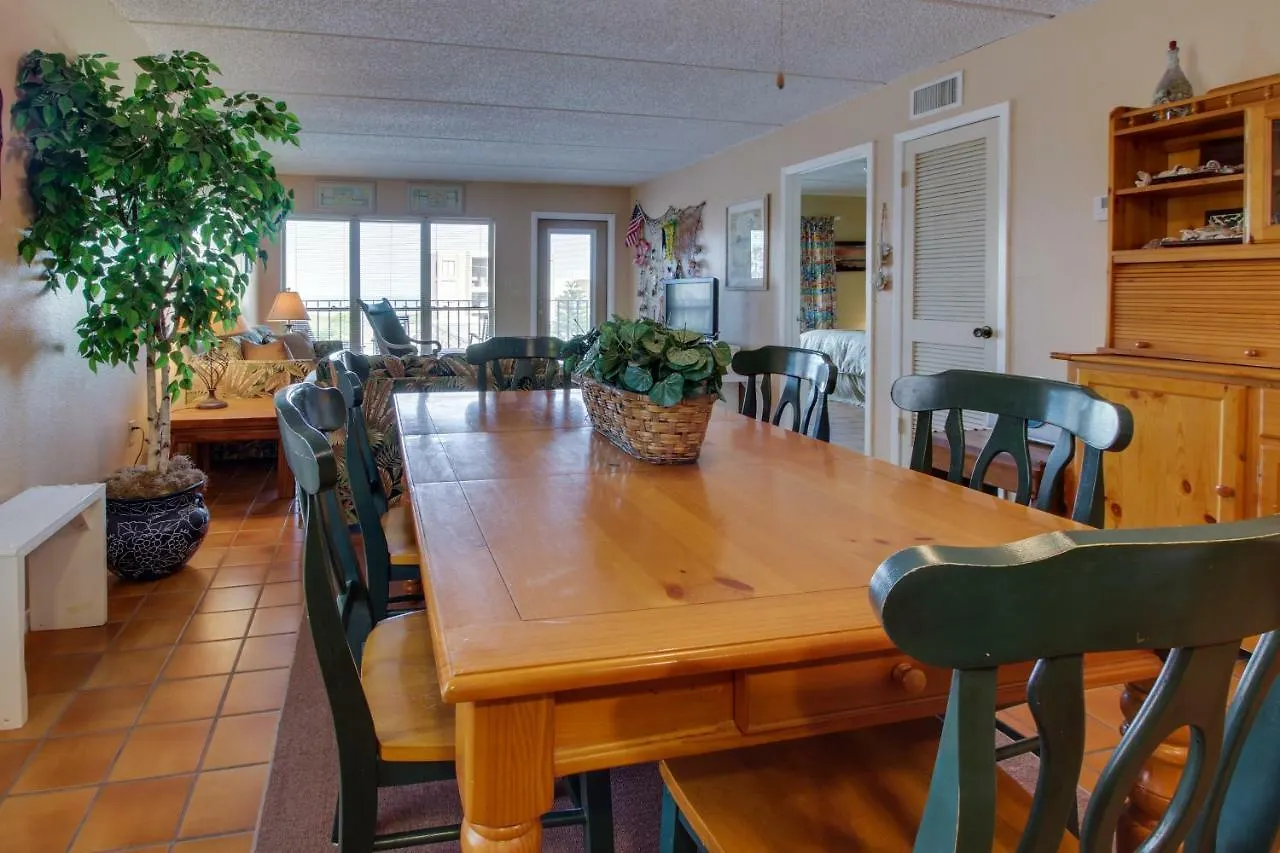 Beachview Condominiums: Palm Tree Pathway *