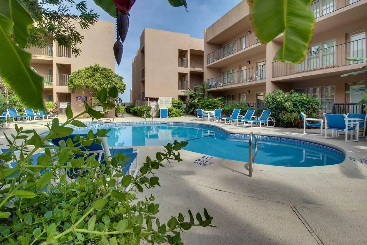 Hotel Beachview Condominiums: Palm Tree Pathway