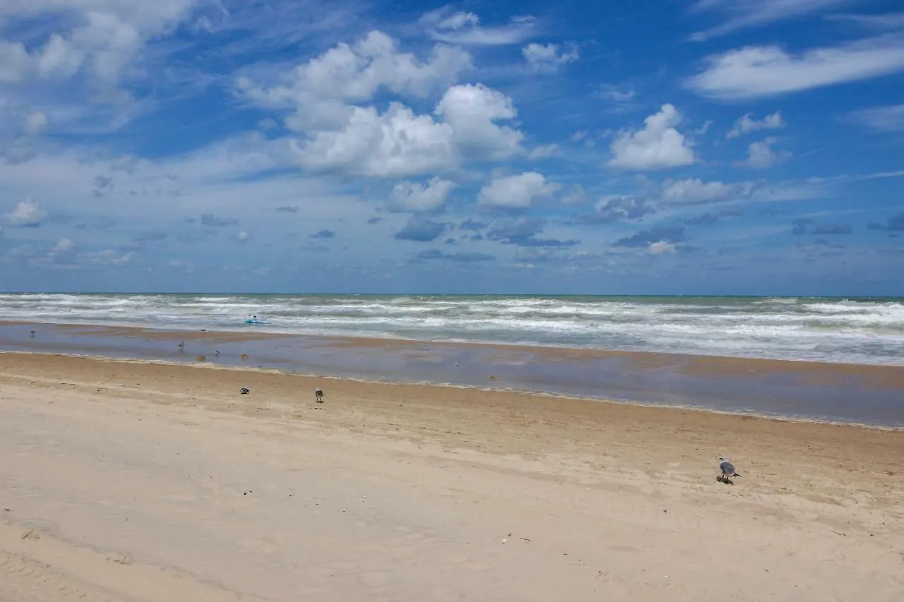 Palm Tree Escape * South Padre Island