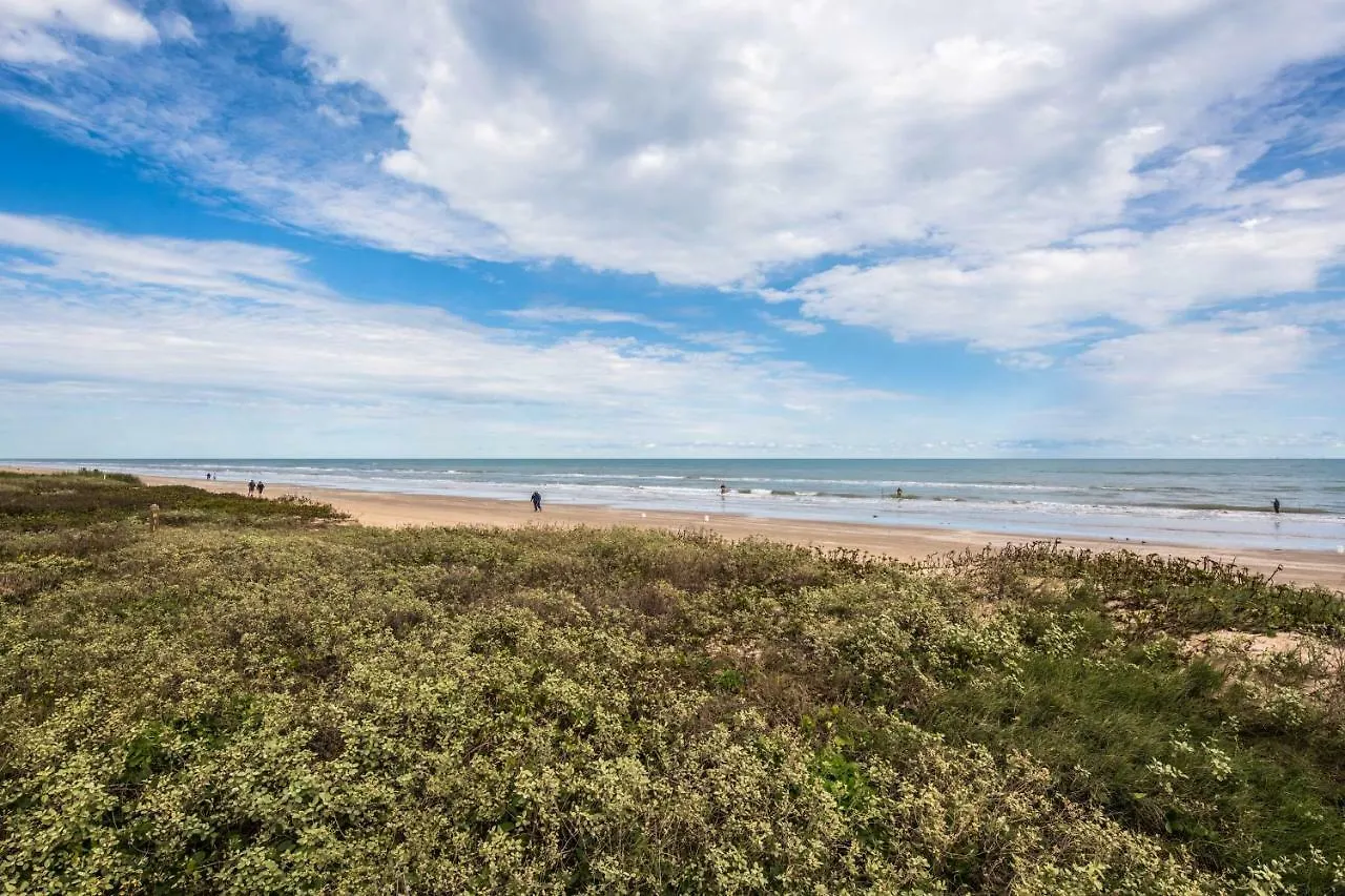 Apartment Palm Tree Escape South Padre Island