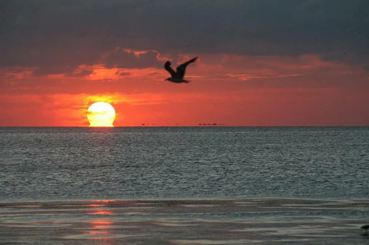 Escape #2 * South Padre Island