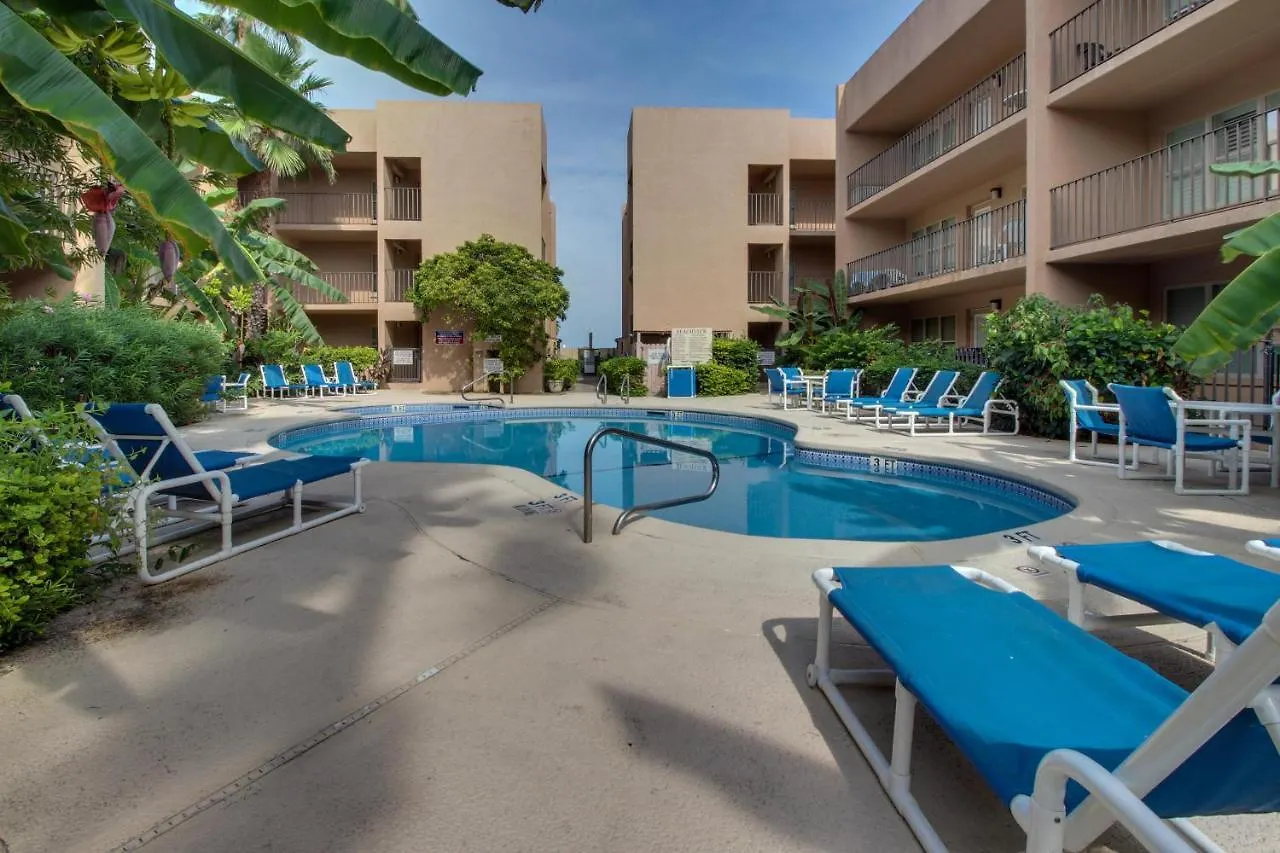 Beachview Condominiums: Palm Tree Pathway Hotel *