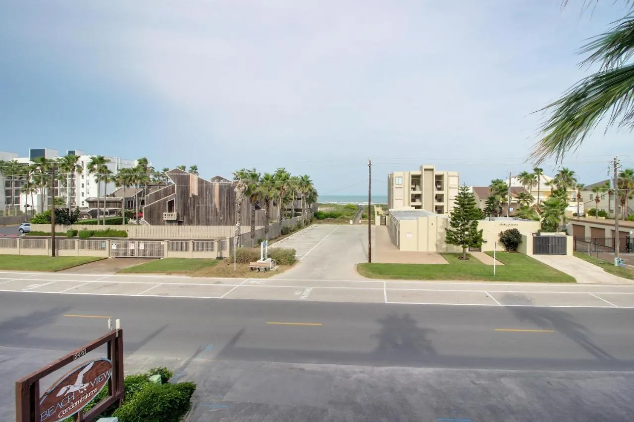 Beachview Condominiums: Palm Tree Pathway