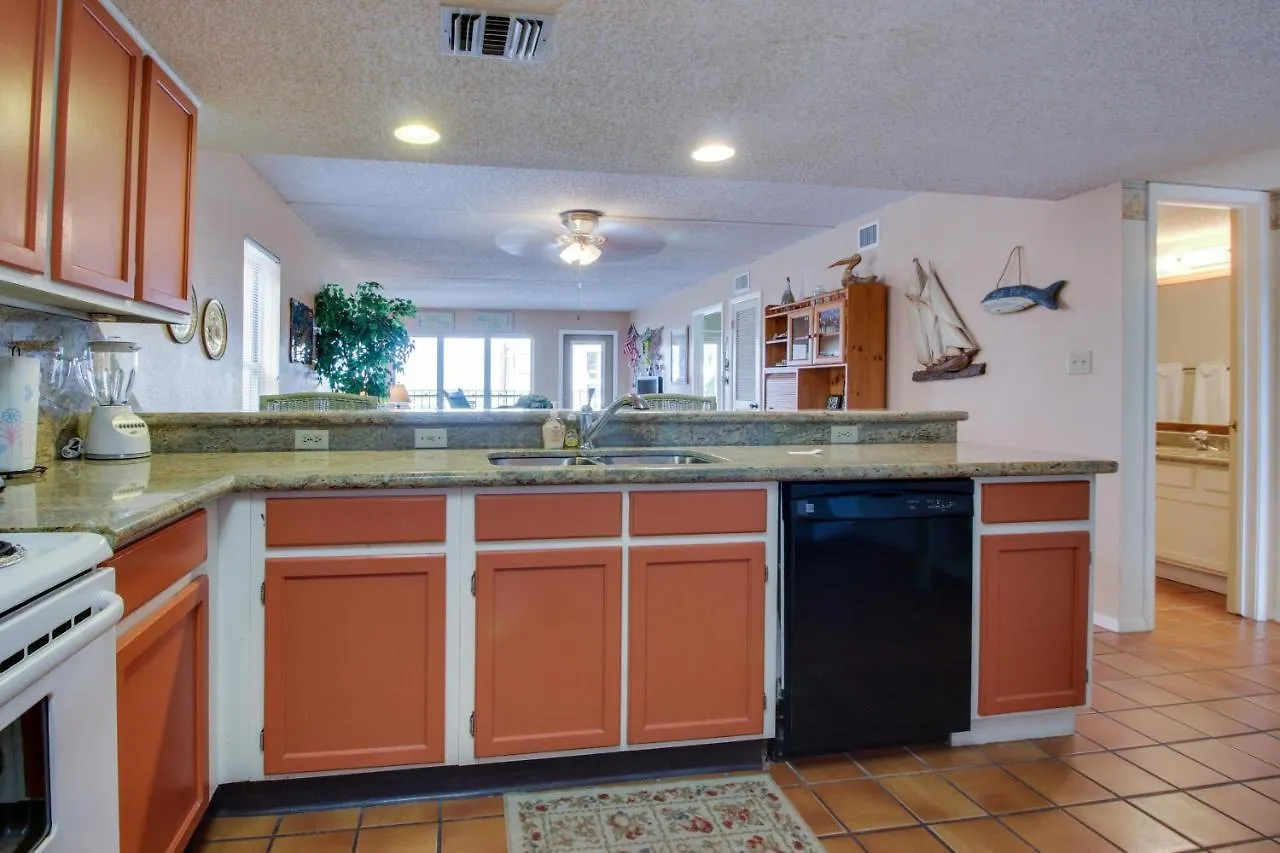 Beachview Condominiums: Palm Tree Pathway Hotel South Padre Island