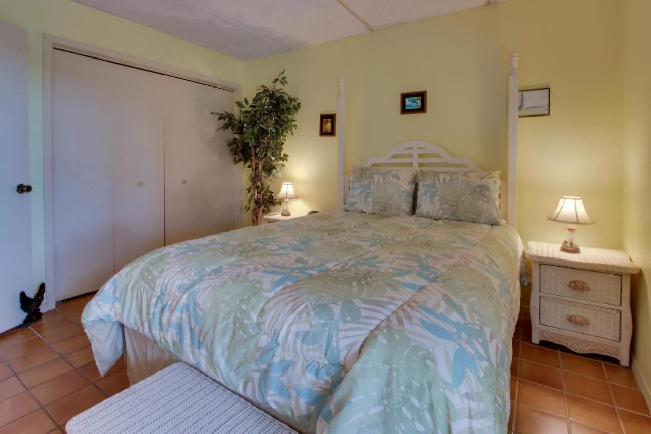 Hotel Beachview Condominiums: Palm Tree Pathway South Padre Island