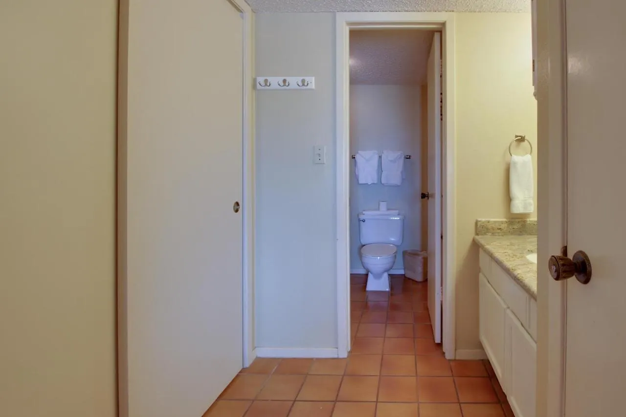 Beachview Condominiums: Palm Tree Pathway Hotel South Padre Island