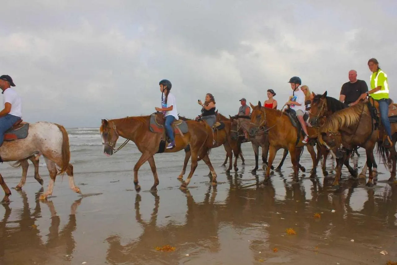 Florence I By Padre Island Holiday home