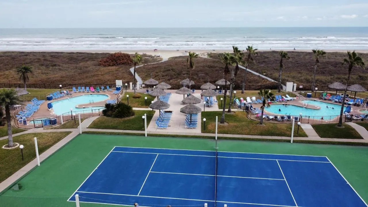 公寓 Beachfront With Heated Pool Saida Royale 9039 *