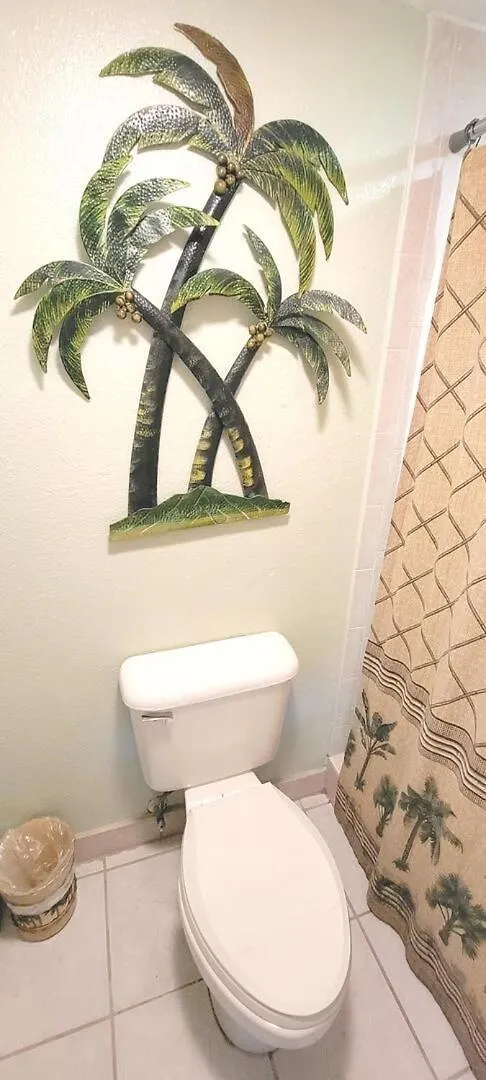Σπίτι διακοπών Saida Towers Iv #303 South Padre Island