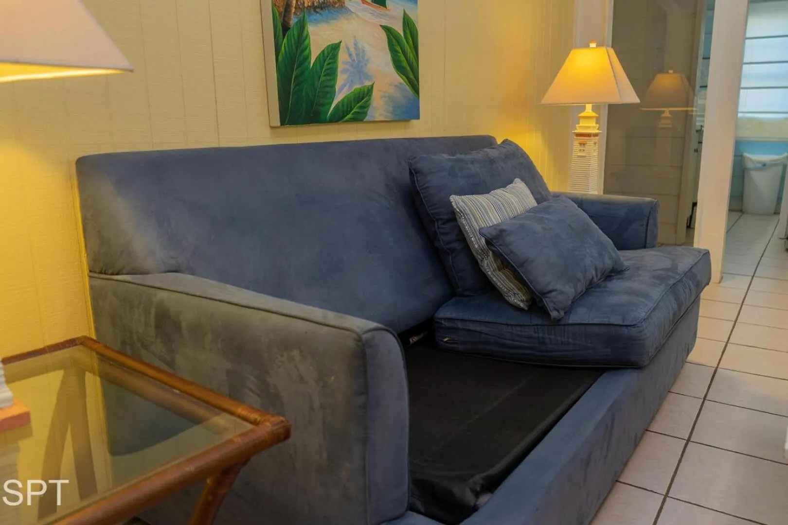 Hébergement de vacances Caribbean Vibes House *