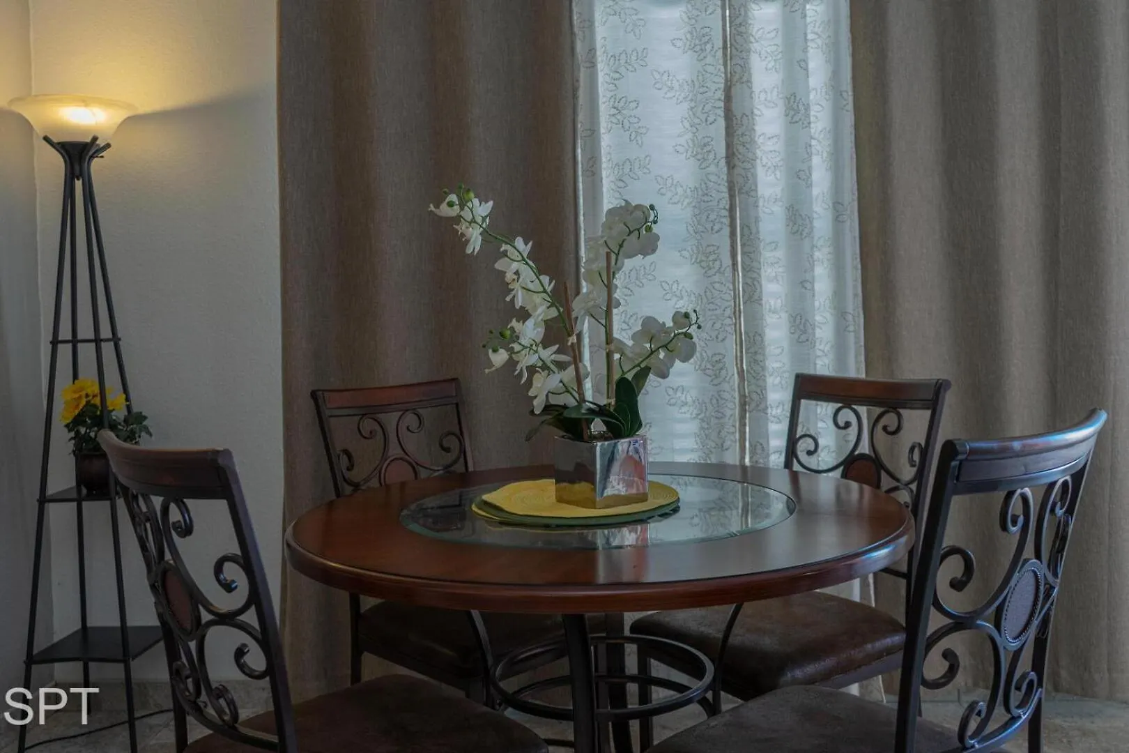 Gulfview Ii #410 Luxe Holiday home