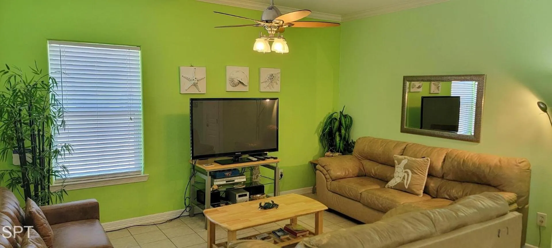 Apartment Cabos I #5