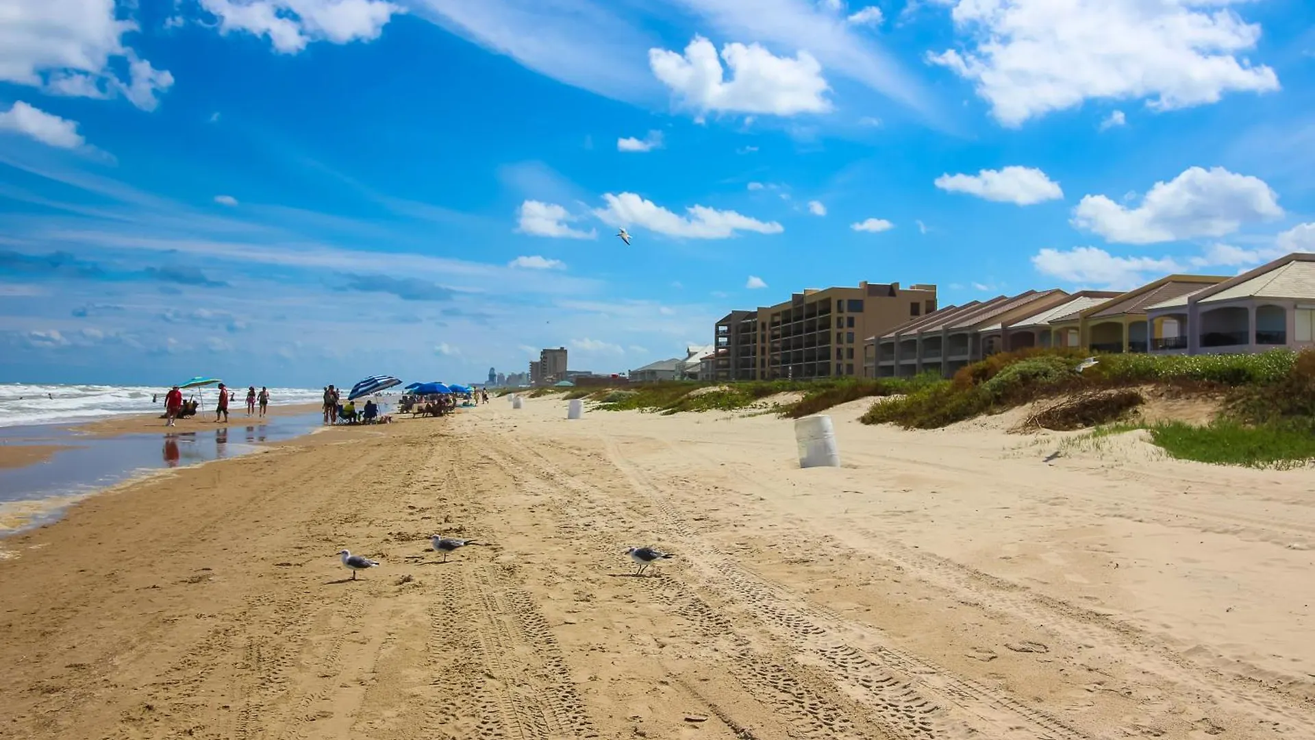 Lantana Retreat Unit #3 * South Padre Island