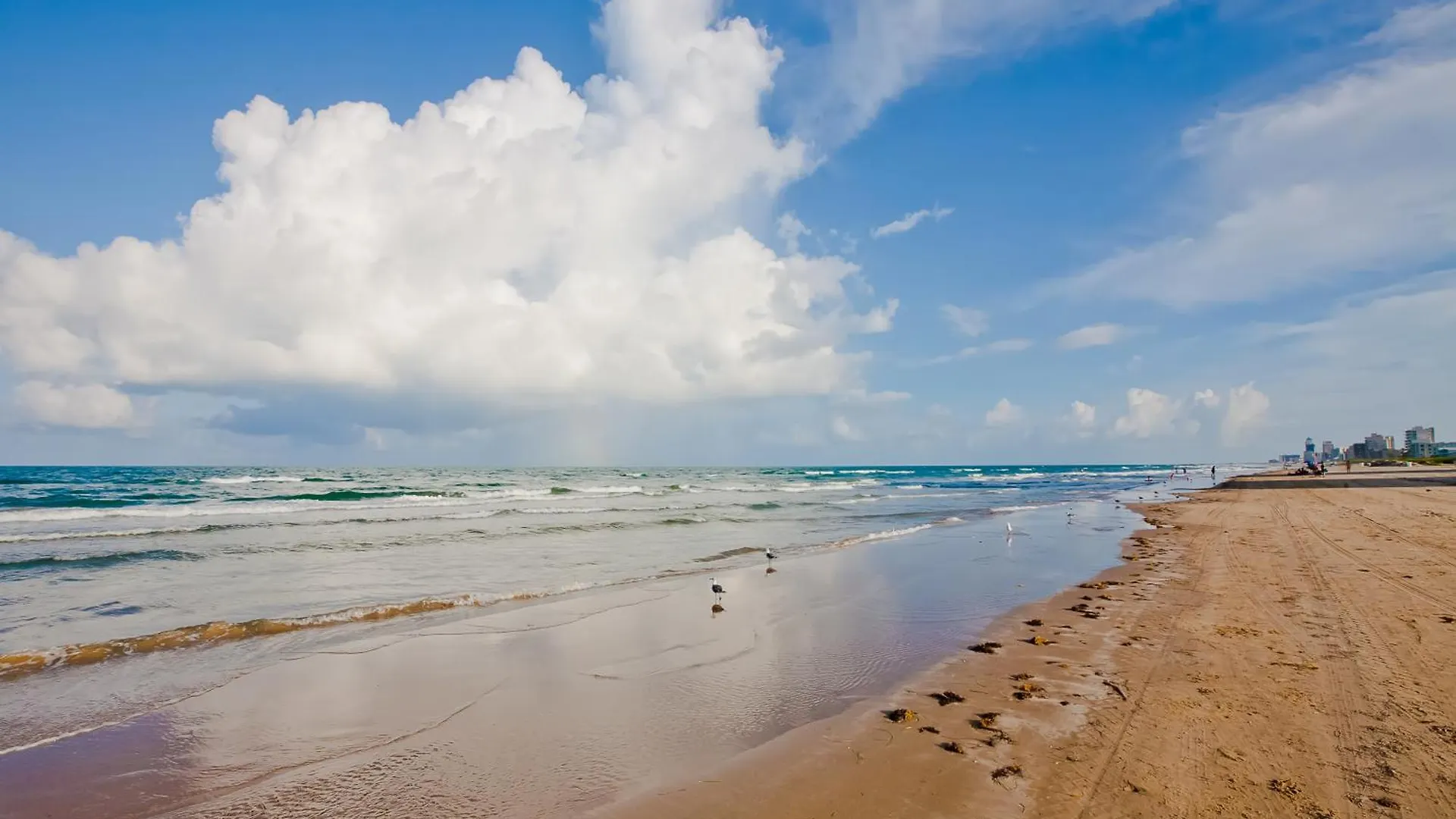 Lantana Retreat Unit #3 Apartment South Padre Island