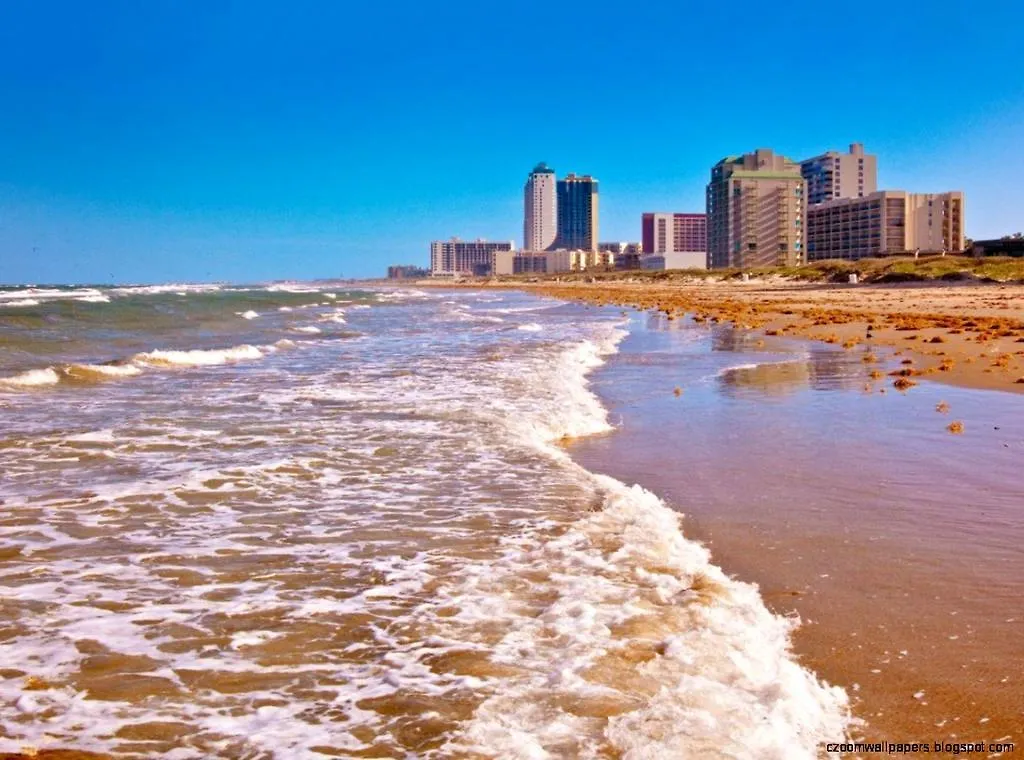Saida Towers Unit 3505 Apartment South Padre Island