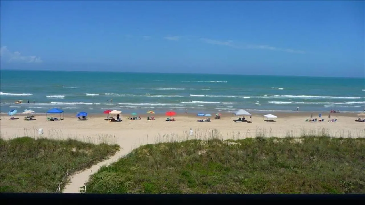 Florence I F1403 South Padre Island